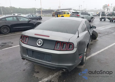 2013 Ford Mustang V6 z USA, uszkodzony, nr VIN 1ZVBP8AM9D5283220